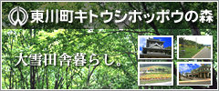 ���쒬�L�g�E�V�z�b�|�E�̐X