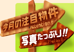 今月の注目!写真たっぷり!!