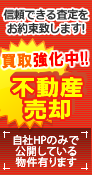 �M���ł��鍸������񑩒v���܂��I�y���拭����!!�s���Y���p�z����HP�݂̂Ō��J���Ă��镨���L��܂�