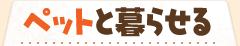 �y�b�g��点�����