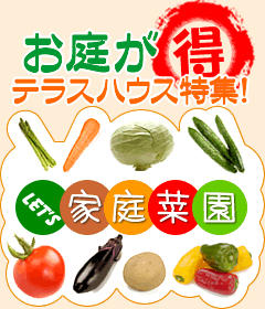 ���낪���e���X�n�E�X���W
