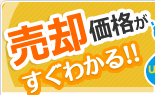 �y���p���i�������킩��!!�z