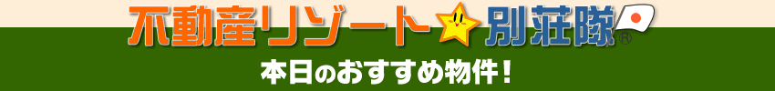 �s���Y���]�[�g�ʑ����b�{���̂������ߕ����I