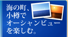 �C�̒��A���M�ŃI�[�V�����r���[���y���ށB
