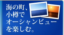 �C�̒��A���M�ŃI�[�V�����r���[���y���ށB