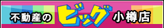 �r�b�O���M�X �i���j�p���[�X�e�[�V����