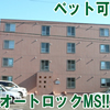�T�����C�Y�q���T�c�{��