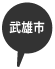 Ys