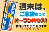 �����I�[�v���n�E�X���