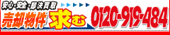 �y���S�E���S�E��������z���p�������ށI0120-919-484