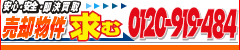 �y���S�E���S�E��������z���p�������ށI0120-919-484