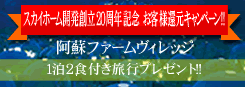 ���݃L�����y�[��