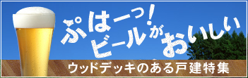�r�[�������������E�b�h�f�b�L�̂���ˌ����W