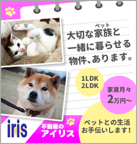 有限会社アイリス