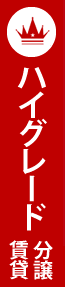 ハイグレード分譲賃貸