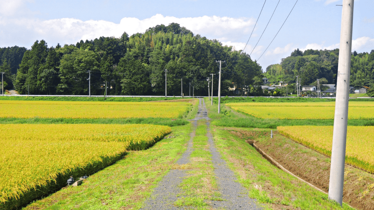 移住支援金以外の主な移住支援制度