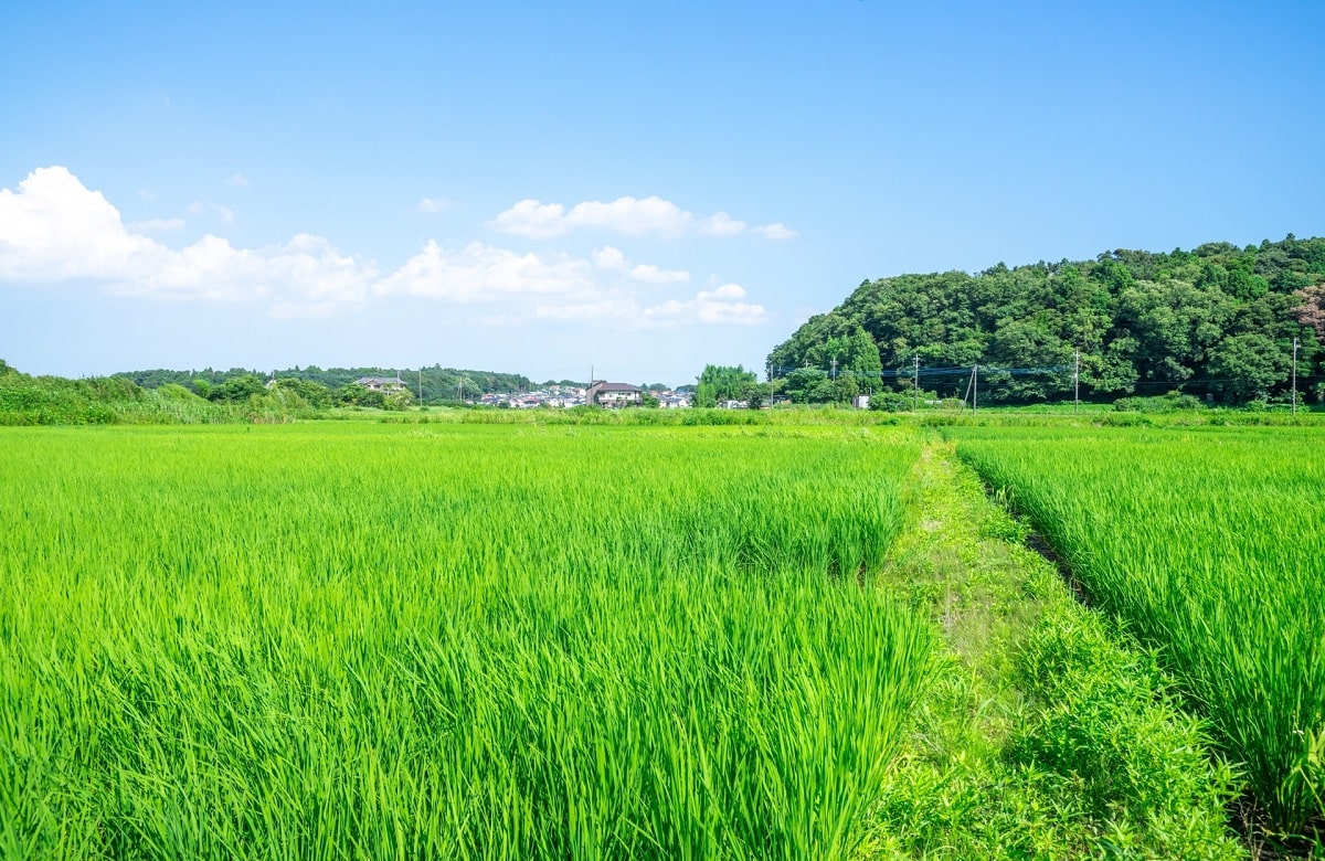 コロナ禍で地方移住を考える人が増えている