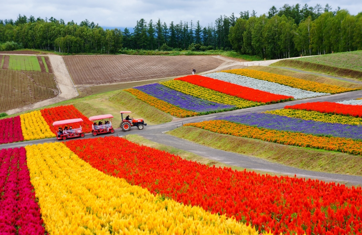 北海道へ移住するなら空き家もチェック