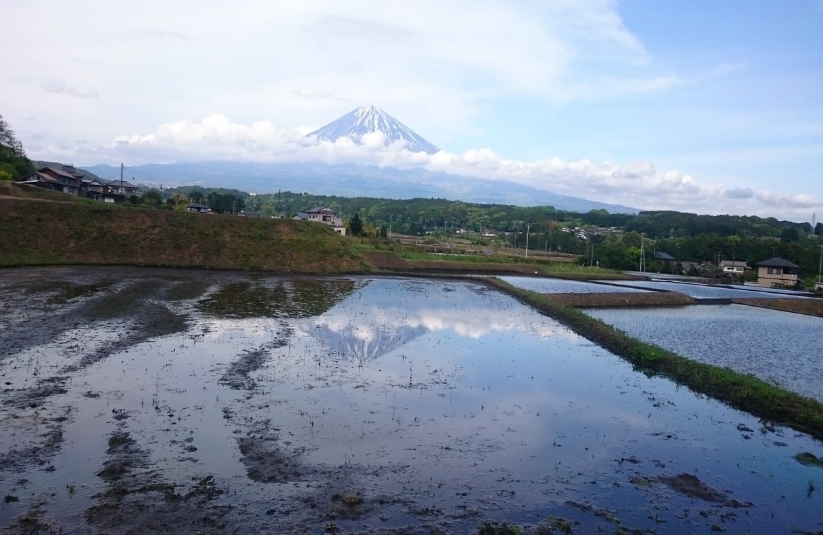 まとめ：田舎暮らしの失敗を避けるには事前準備が重要