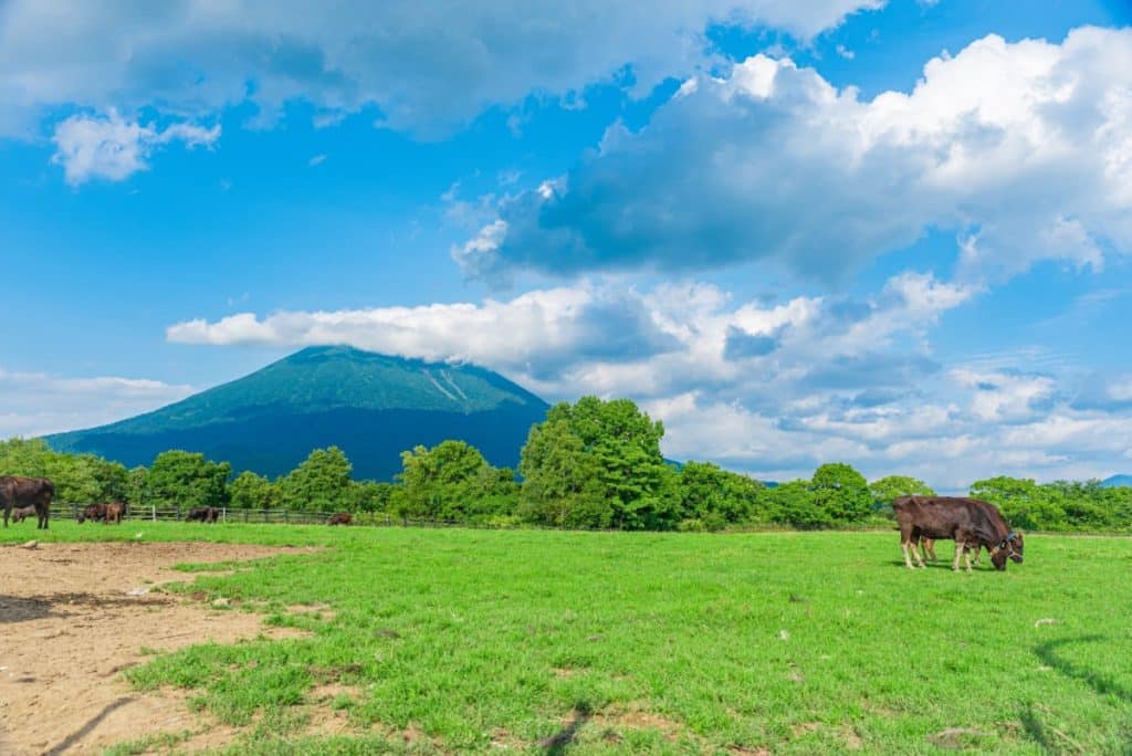 国際感覚を身に付けるならニセコ移住がおすすめ