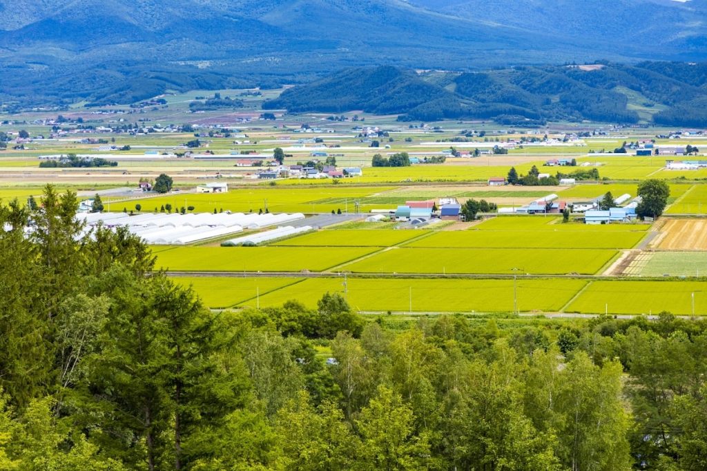 お試し移住で北海道での暮らしをシミュレーションしよう