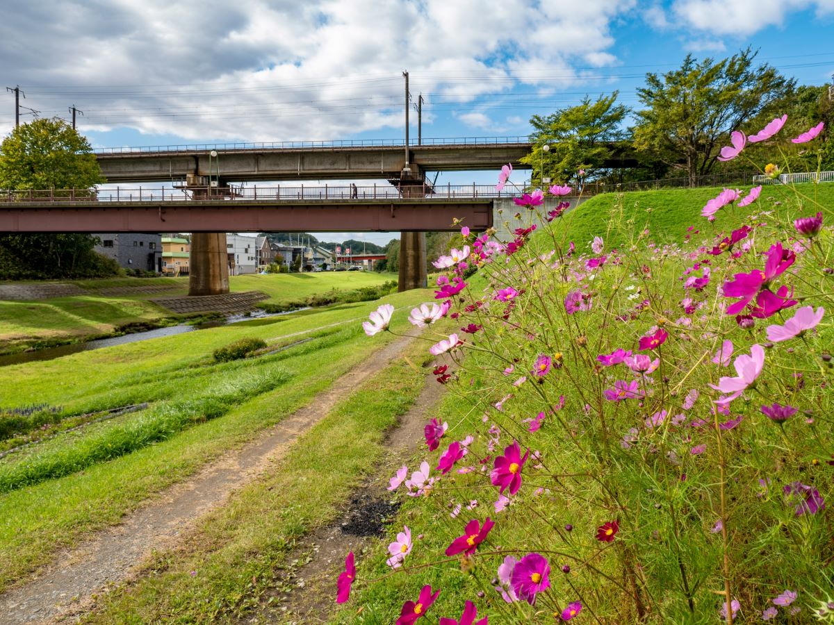 北広島市で快適な移住生活を実現しよう