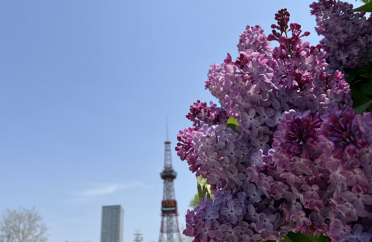 北海道の住宅事情