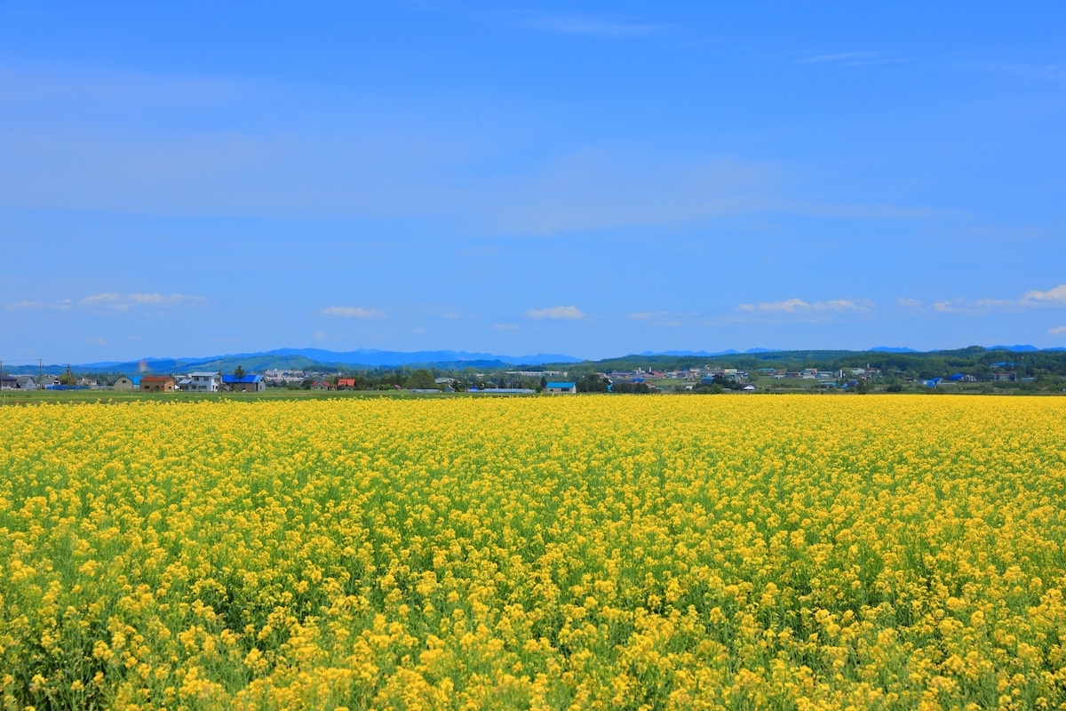 北海道岩見沢市の基本情報