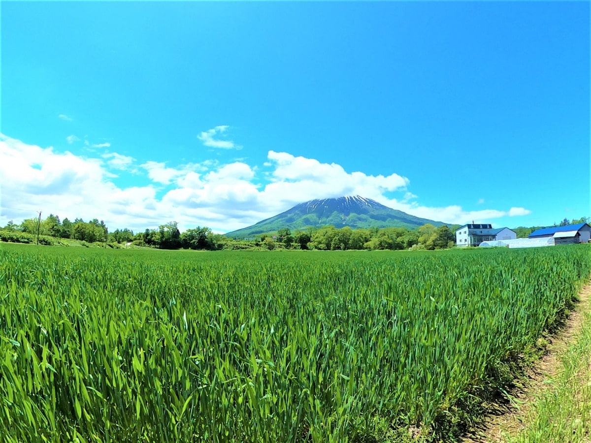 地方に移住して起業するなら北海道がおすすめ