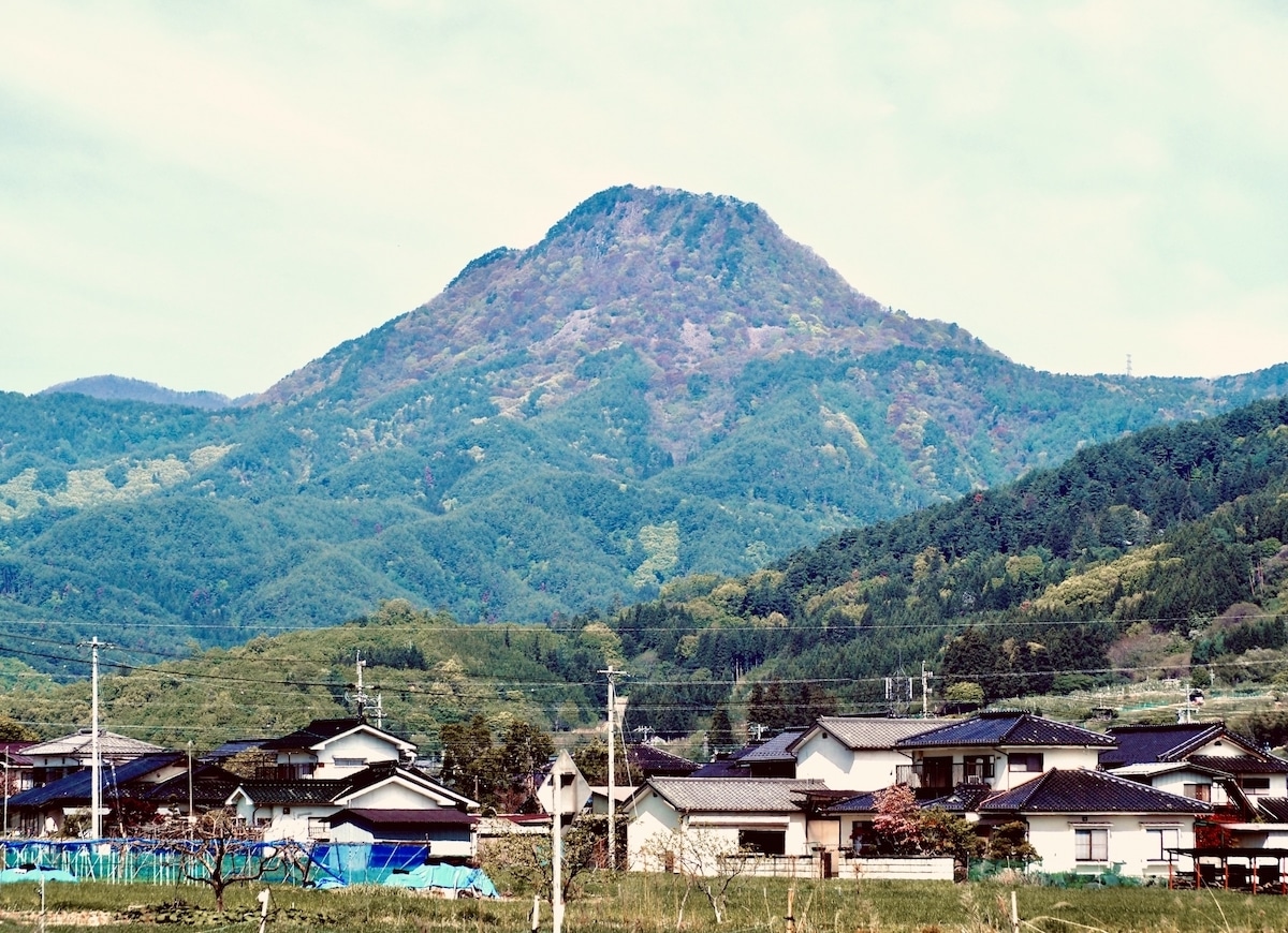 シングルマザーが地方に移住するデメリット