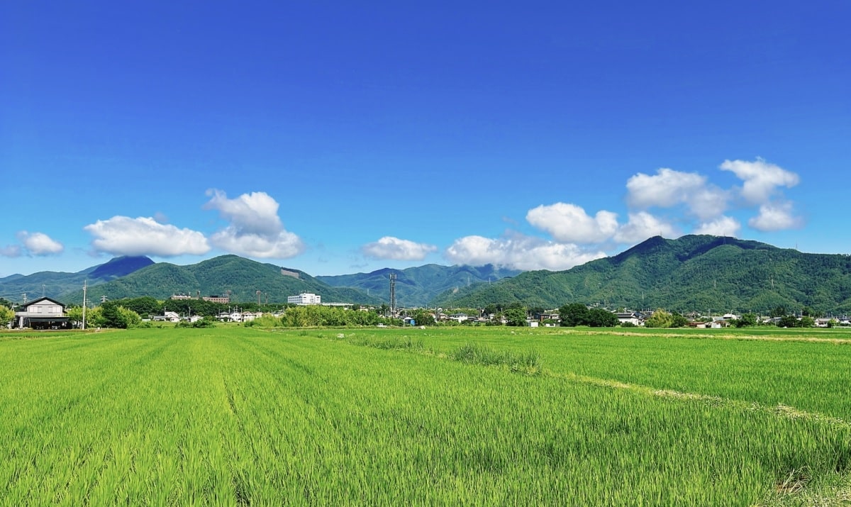 テレワークによる地方移住の3パターン