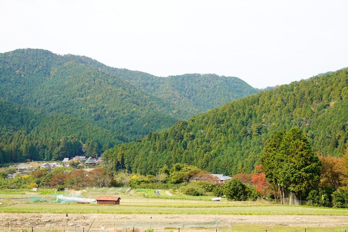 片田舎とは