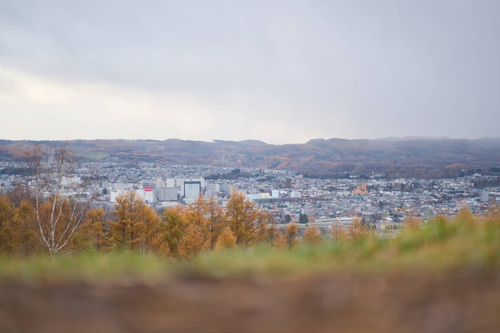 北海道の治安が良い市ランキングTOP5