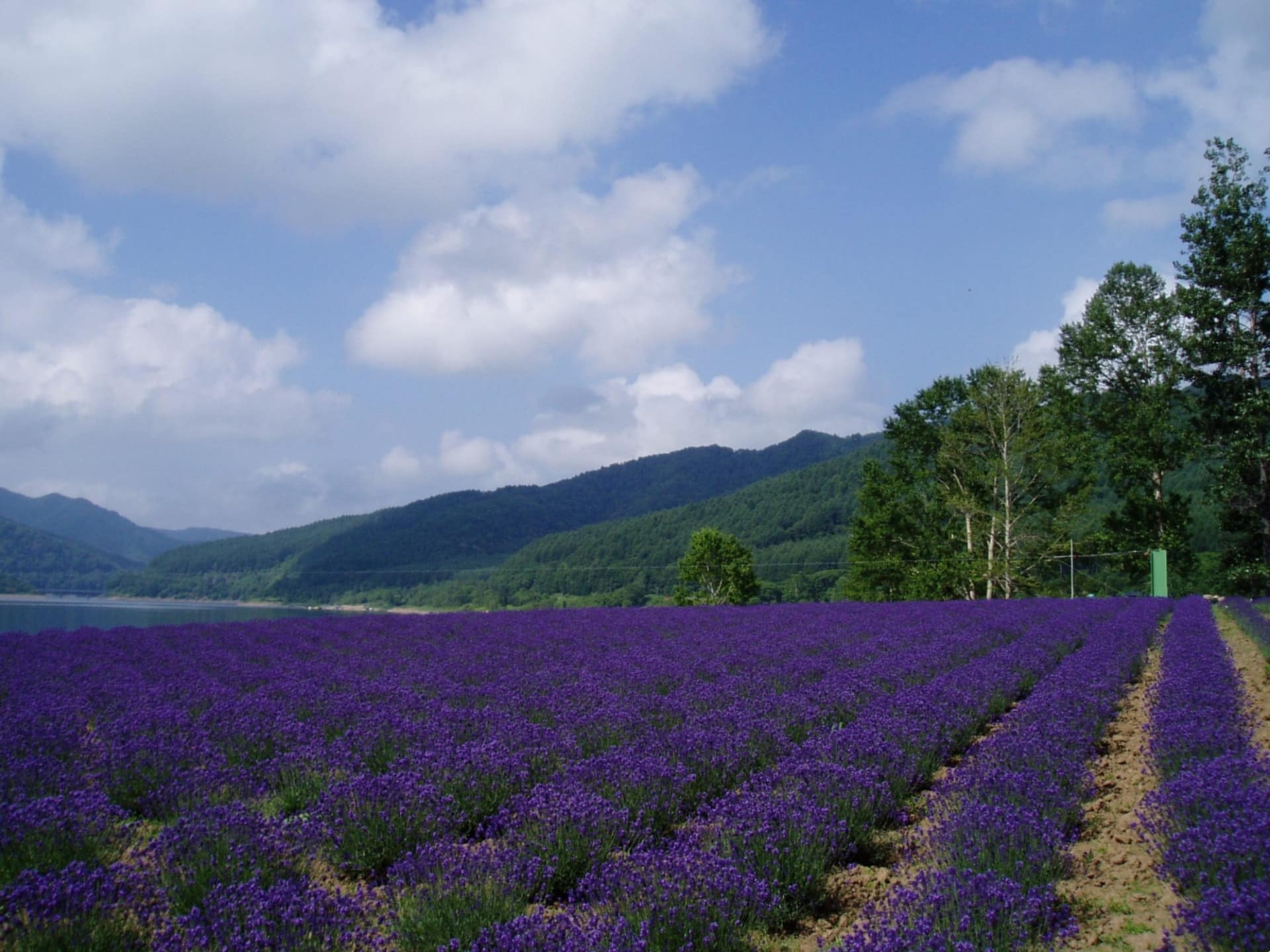 北海道の治安ランキング20｜人口4万人未満の市町村