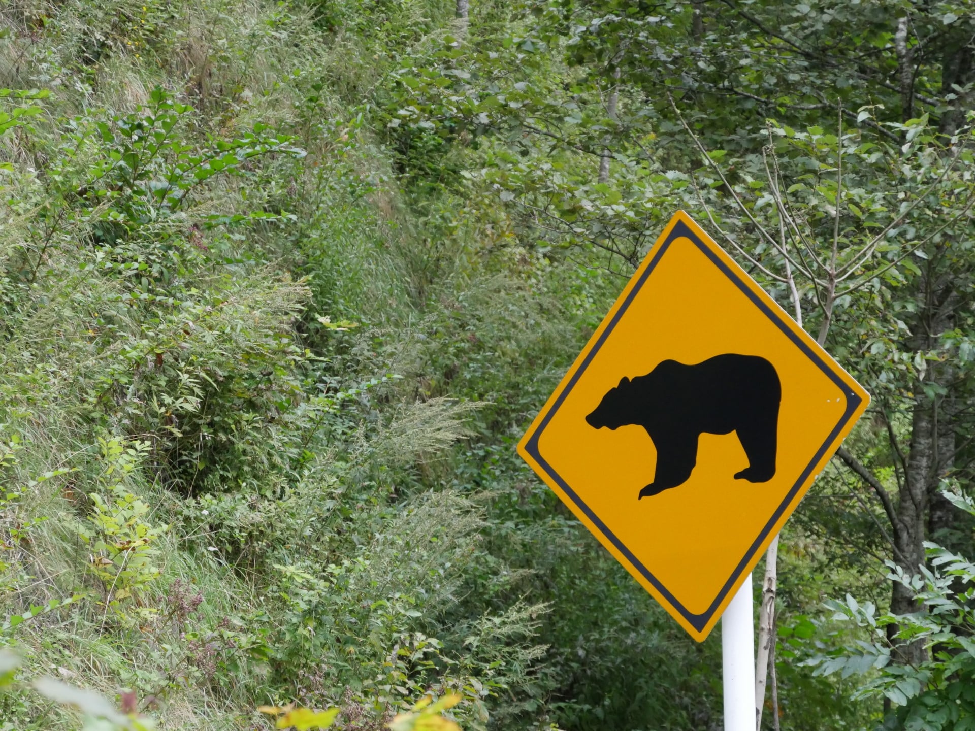 北海道 治安に関するよくある疑問（FAQ）