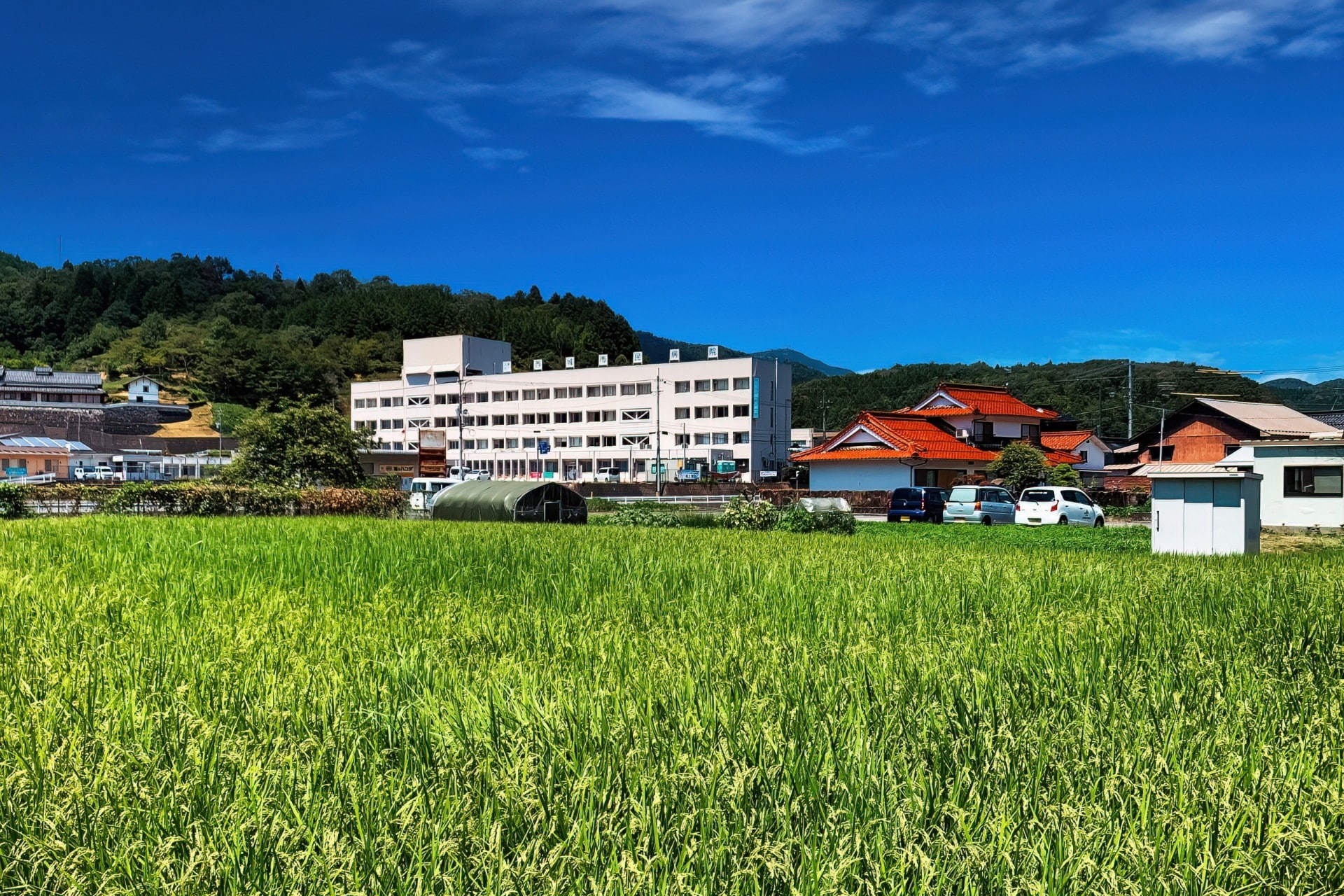 移住してはいけない田舎の特徴｜後悔する理由とランキングの傾向