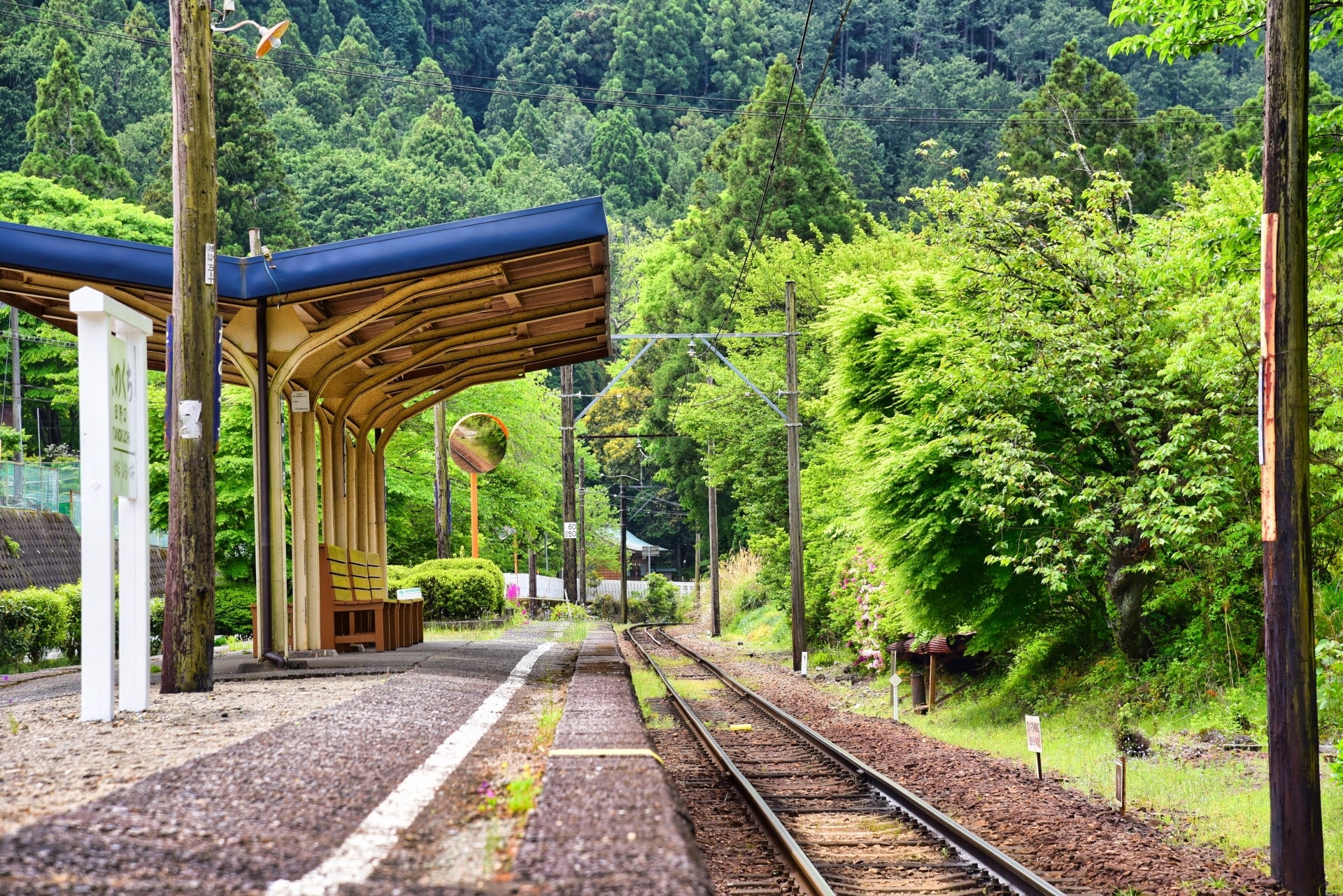 移住してよかった県ランキングから学ぶ成功の秘訣