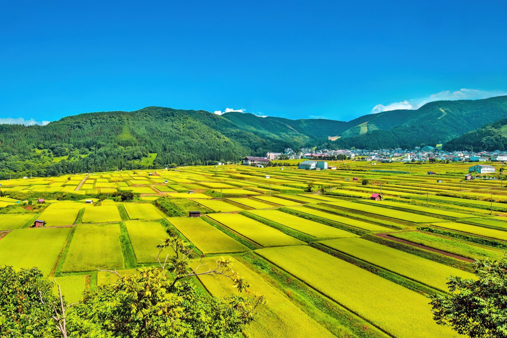 「移住してはいけない田舎」を把握して理想の移住生活を送ろう！