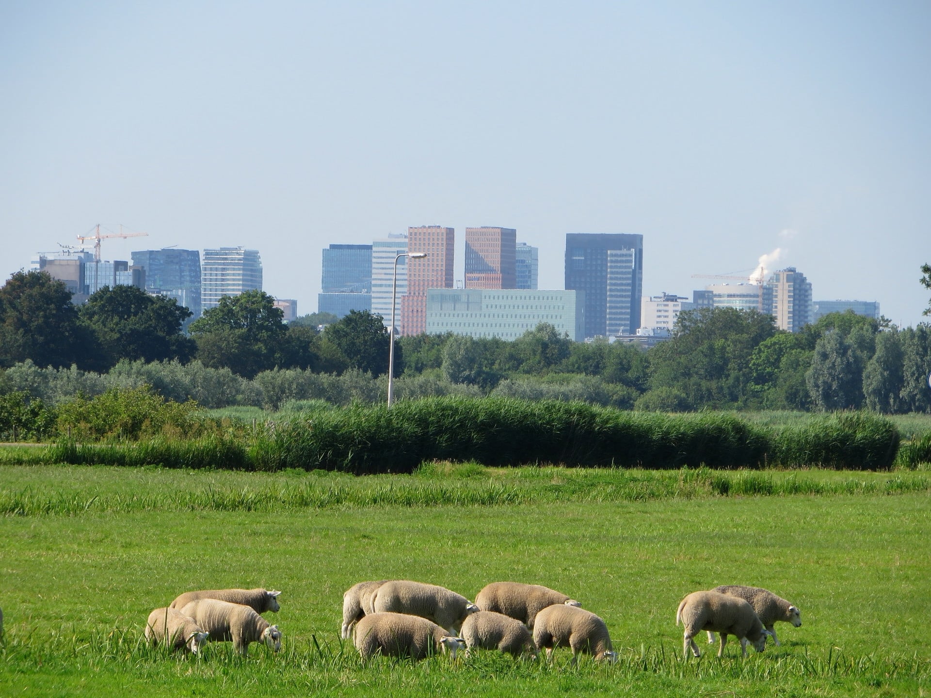 田舎暮らしに関するよくある質問