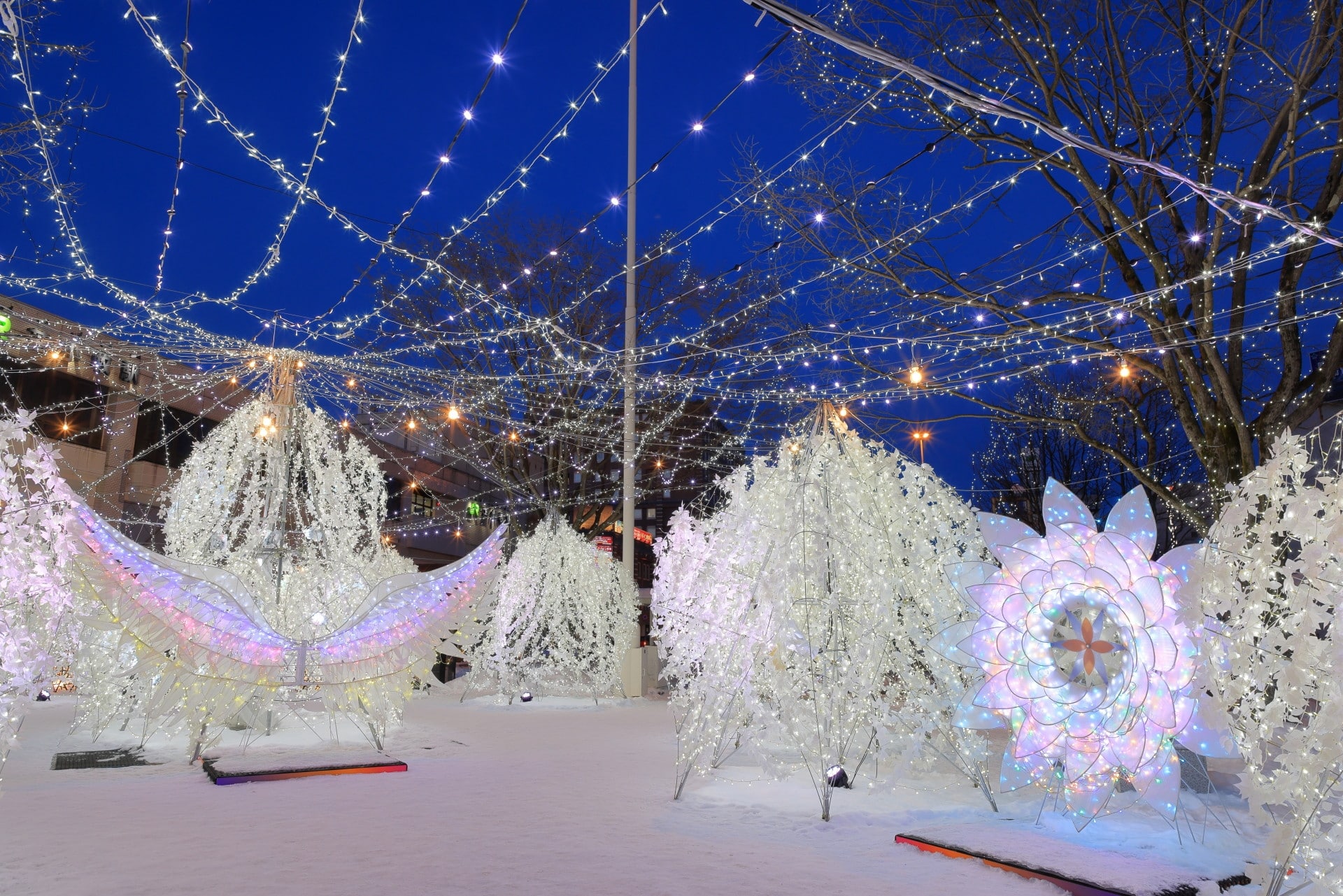 苫小牧市のイベント