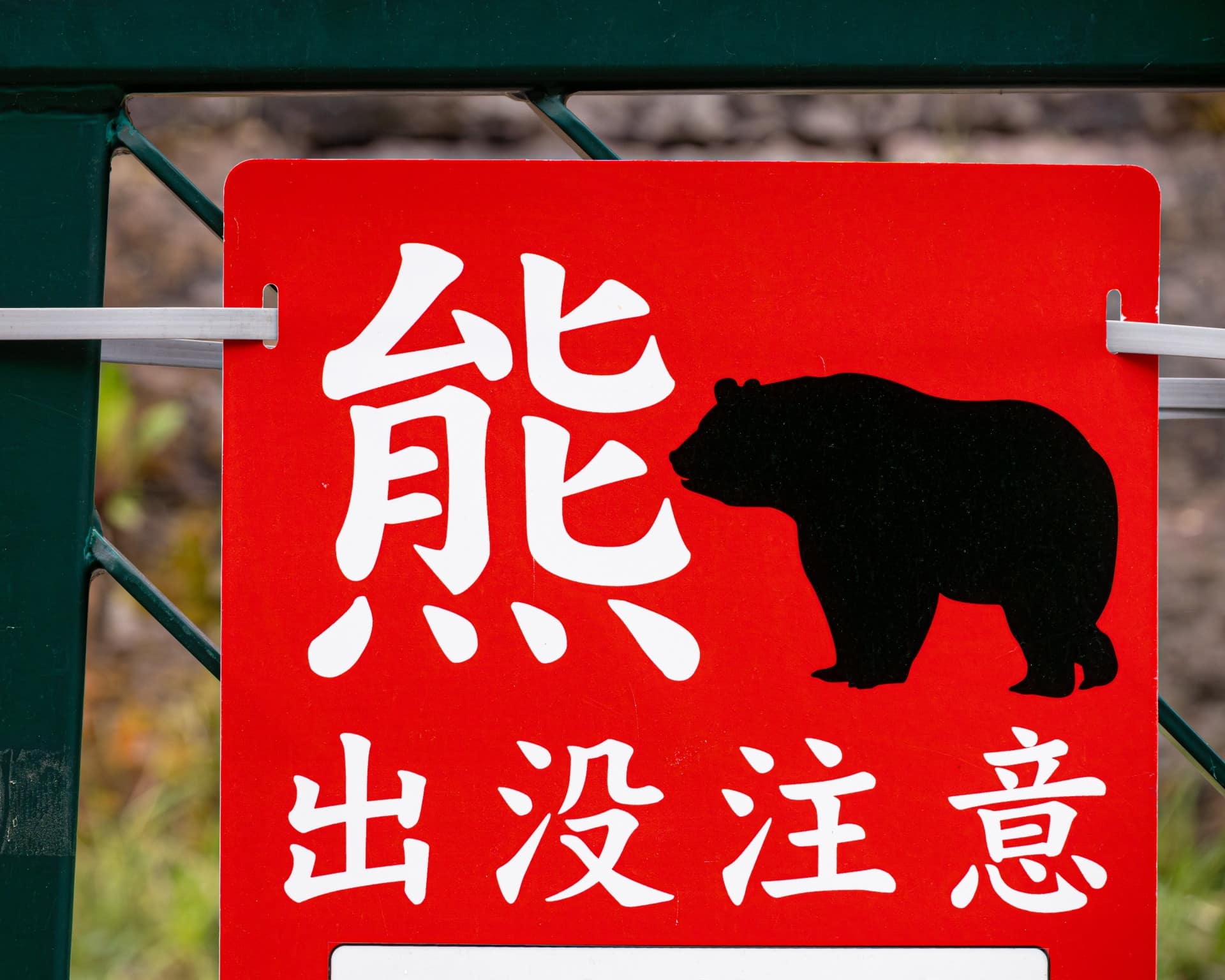 熊が出没するエリアに引っ越すときの注意点