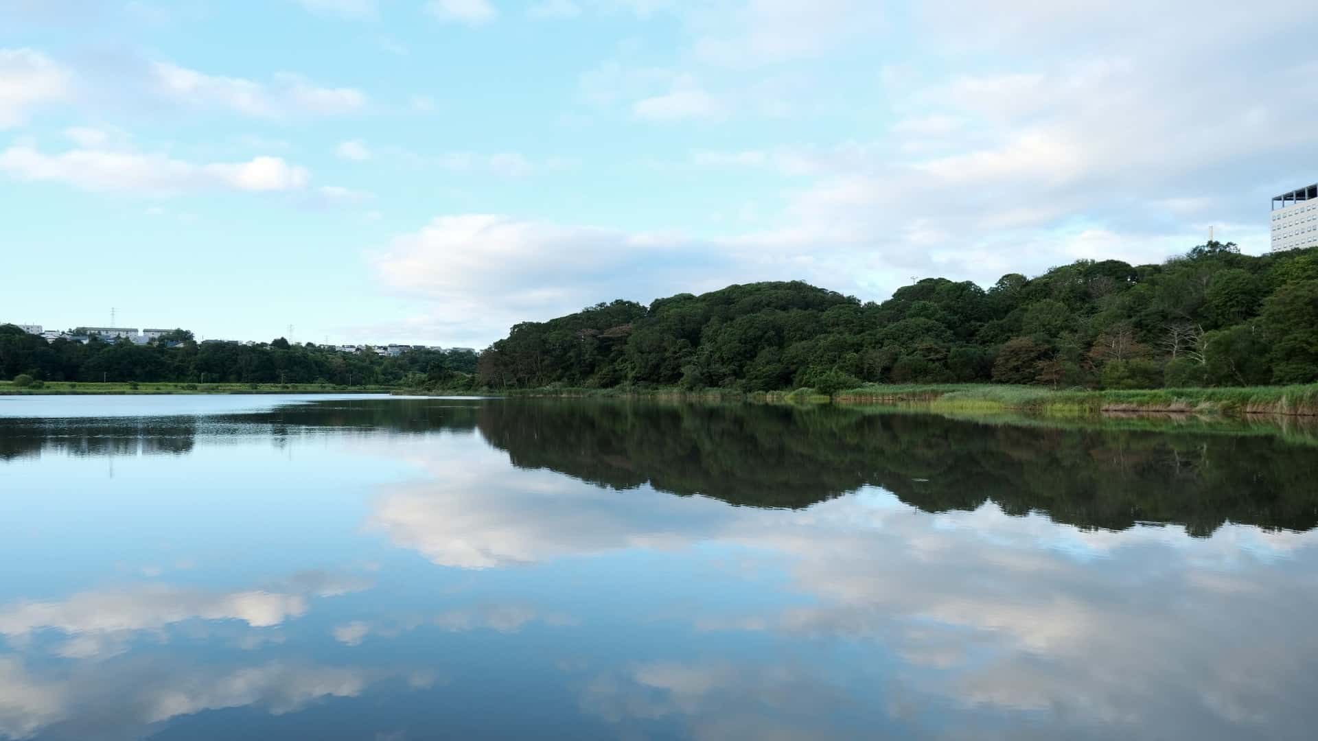 釧路で住みやすい地区