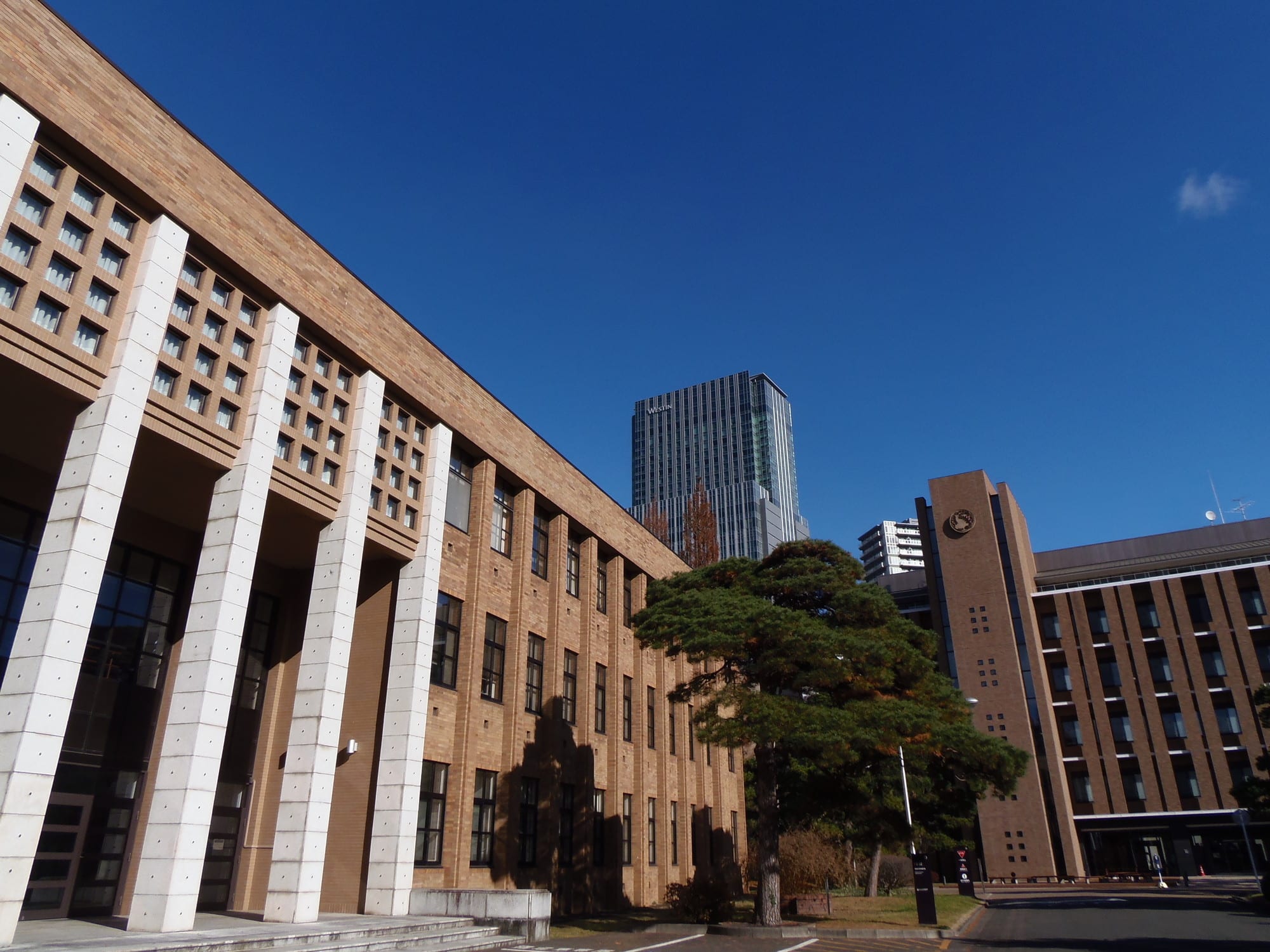 東北大学の寮は高倍率？入寮の募集要項