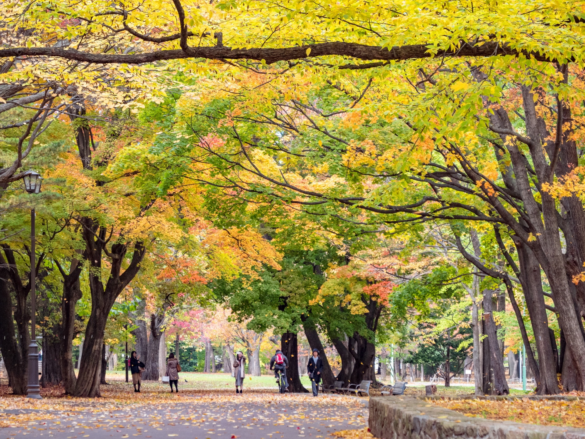 札幌で一人暮らしの女性におすすめの駅
