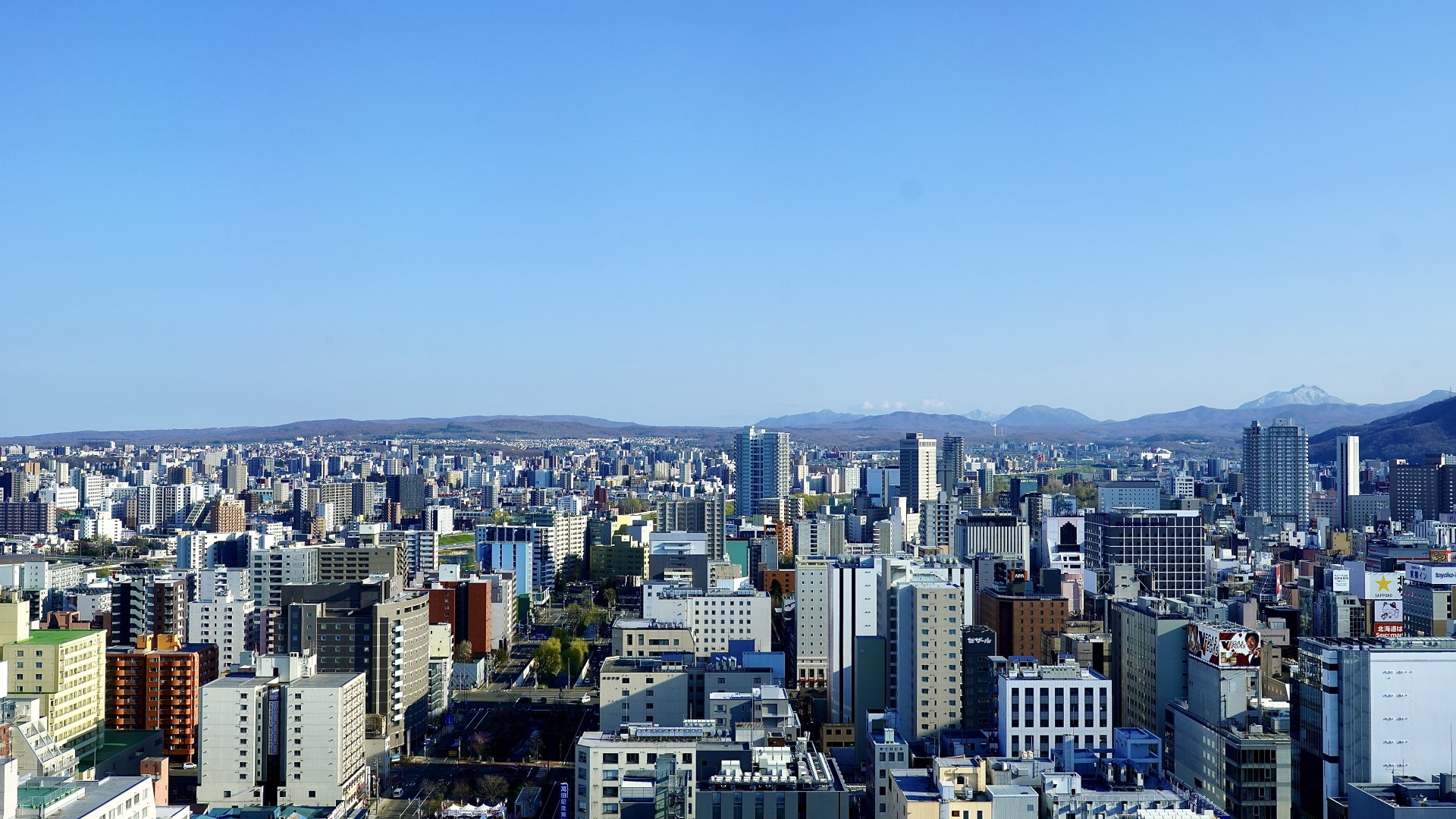 札幌で理想の住まいを探すなら不動産連合隊！