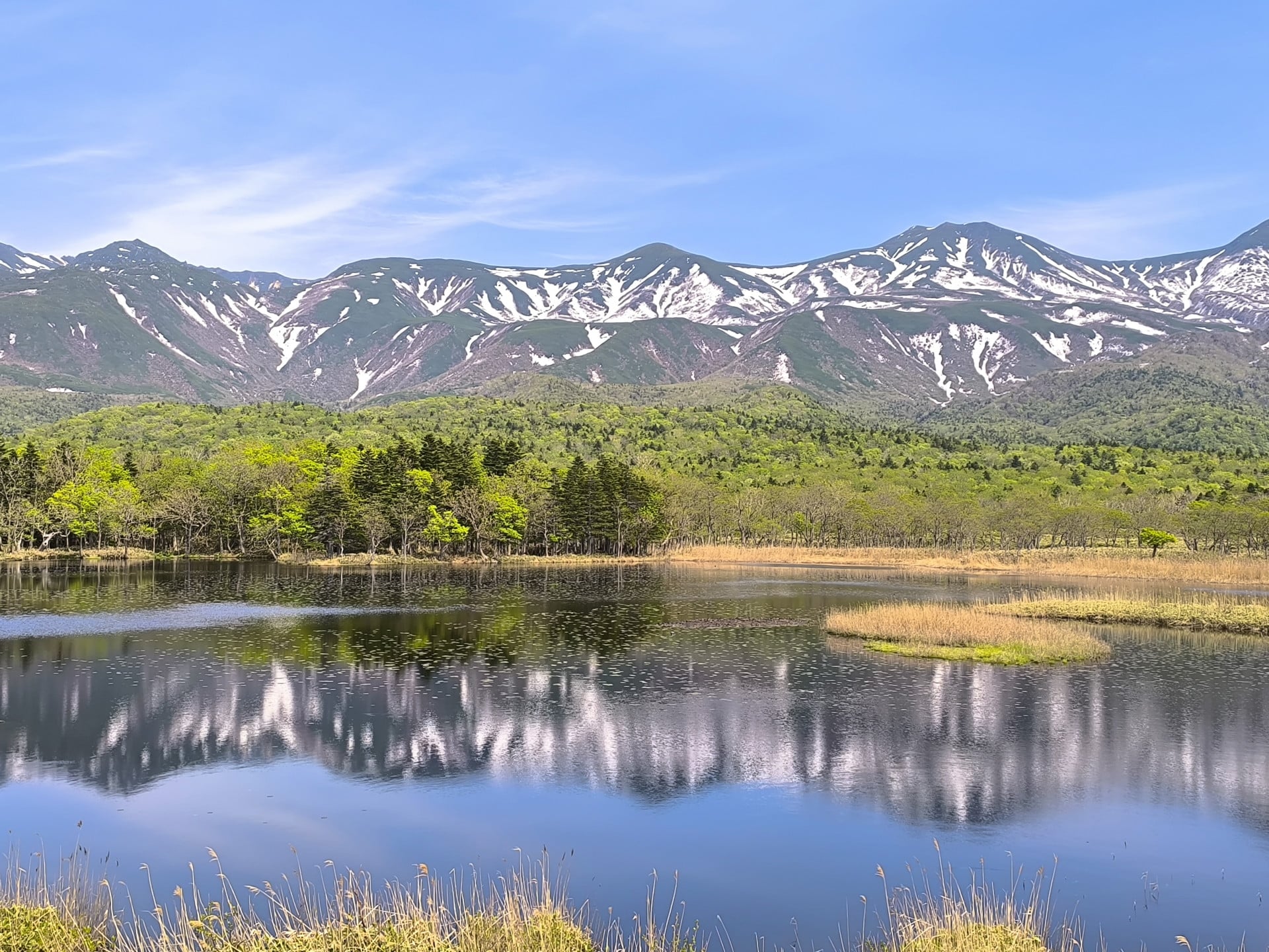 北海道でヒグマが多い地域は？