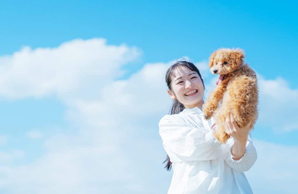 ドッグラン付き賃貸物件を探すなら不動産連合隊！