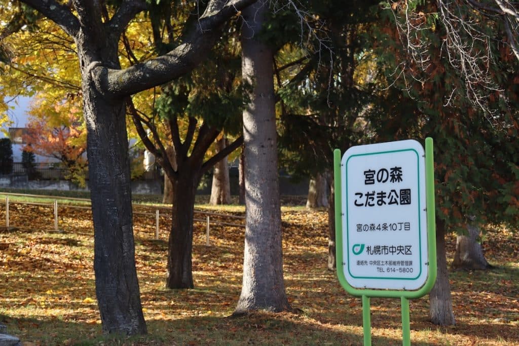 宮の森エリア（中央区）