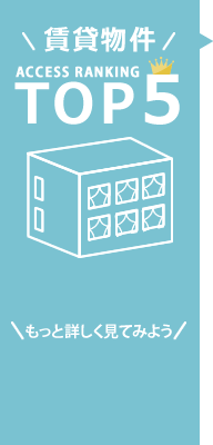 ���ݕ���TOP5