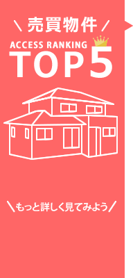 ��������TOP5